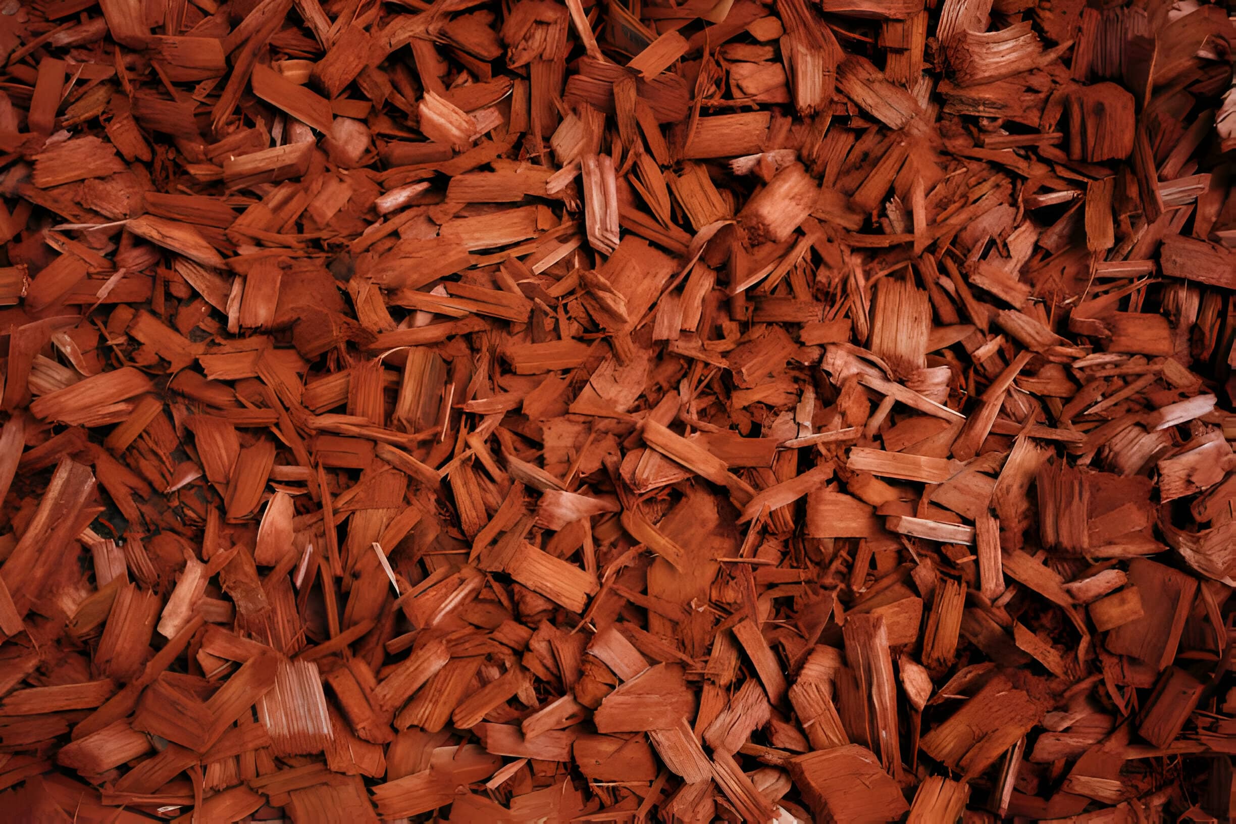 Mulching technique -3