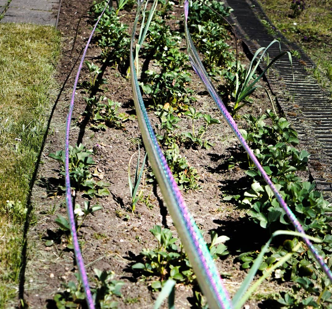 Reflective tape for bird deterrent-2