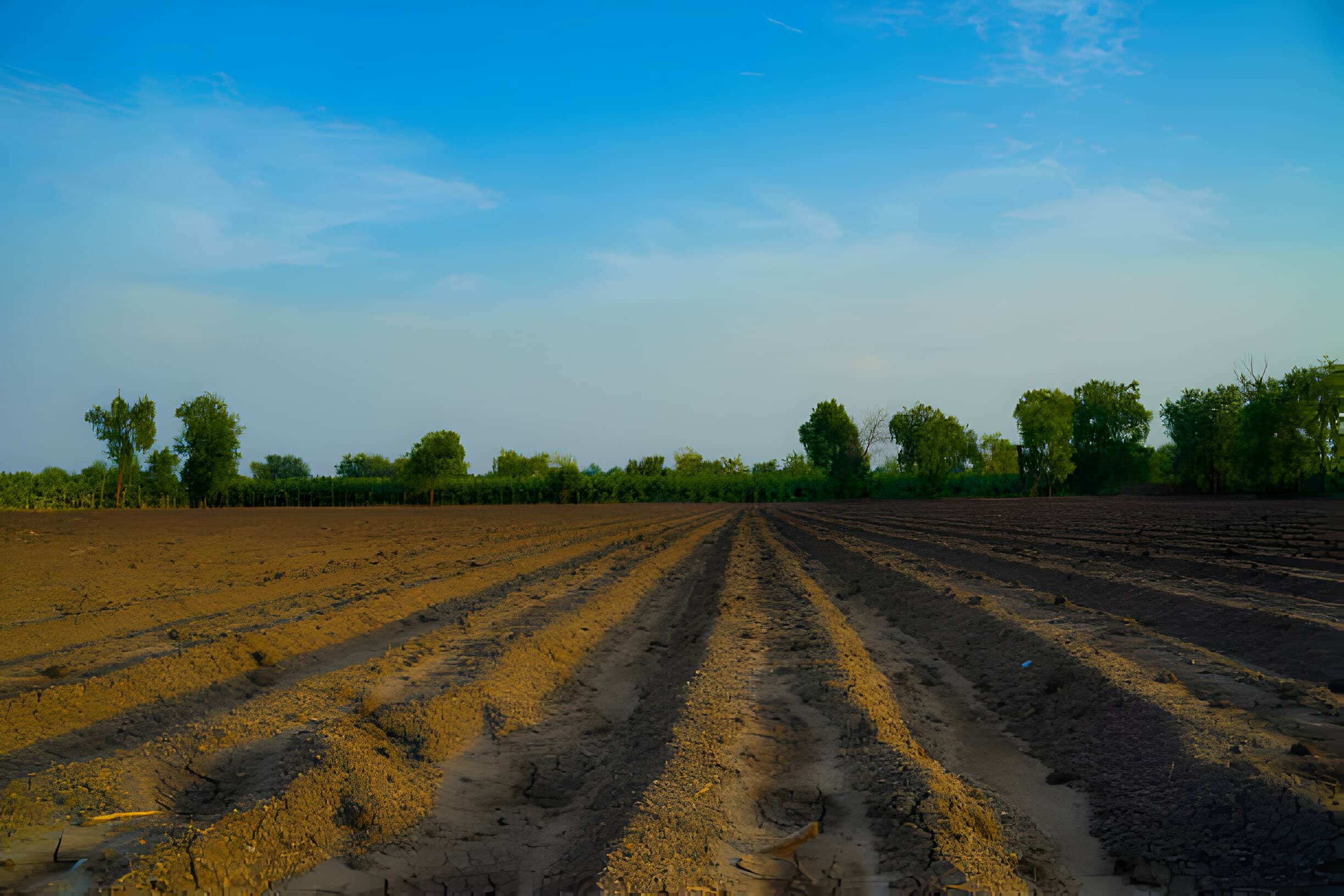 Strip irrigation method-3