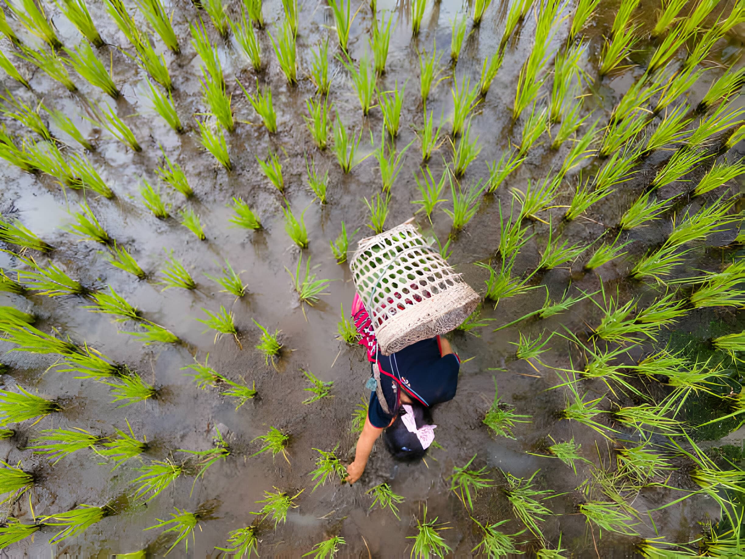 check basin method-2