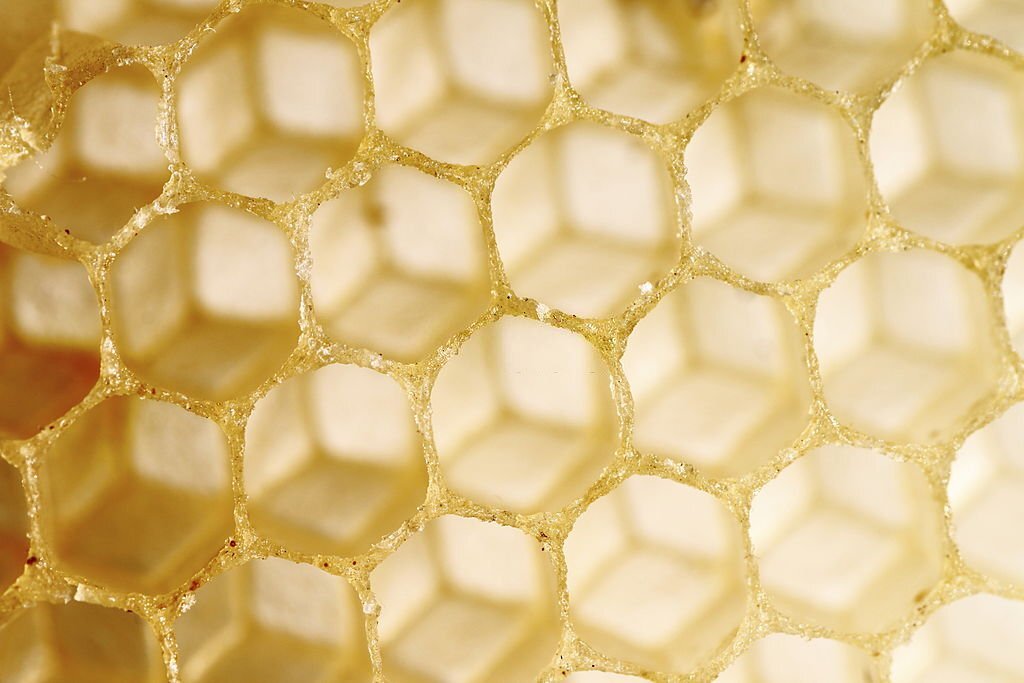 Macro shot of honeycomb beeswax, hexagon geometric shape with separation into three equal portion of the other side.