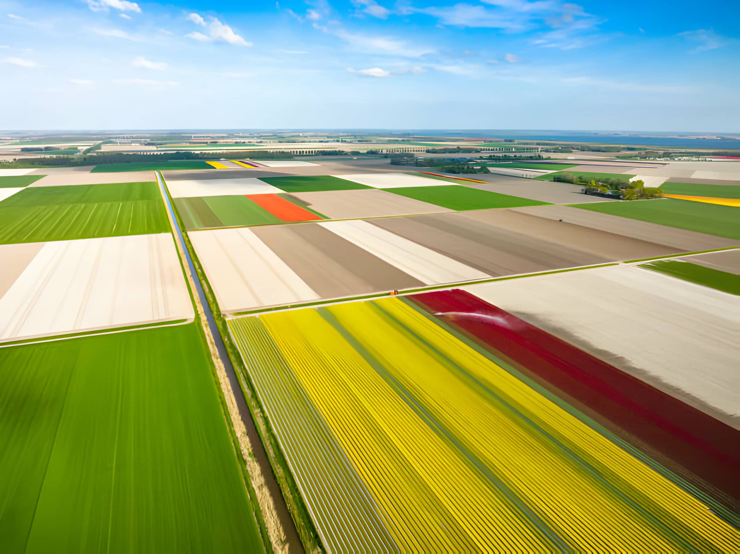 sprinkler irrigation-3