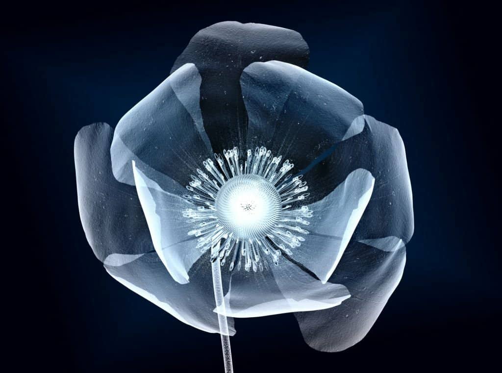 uv water disinfection-3